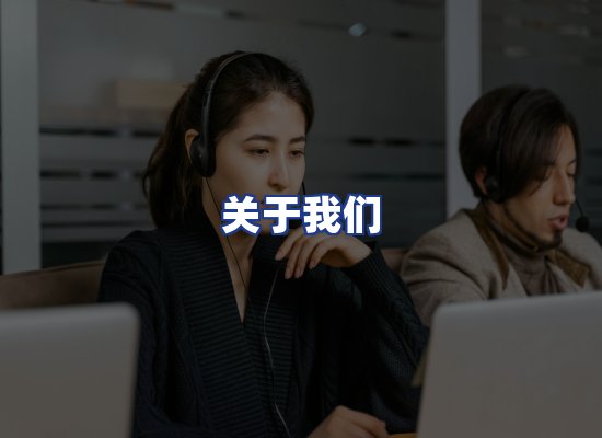 专业团队