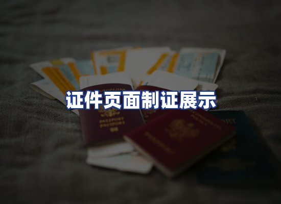 证件页面制证展示